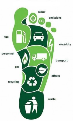 Carbon footprint what made of calculating